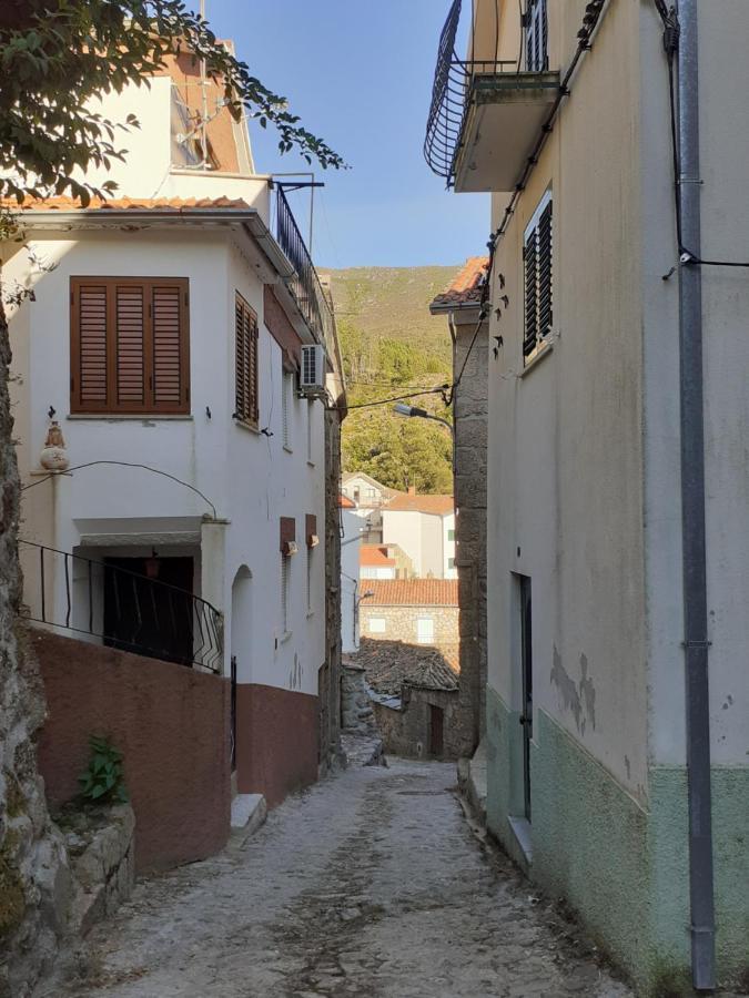 Casa Encantada - Alvoco Da Serra Villa Dış mekan fotoğraf